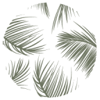 Palmera in Doral, Florida